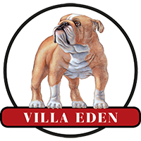 Bulldog Villa Eden